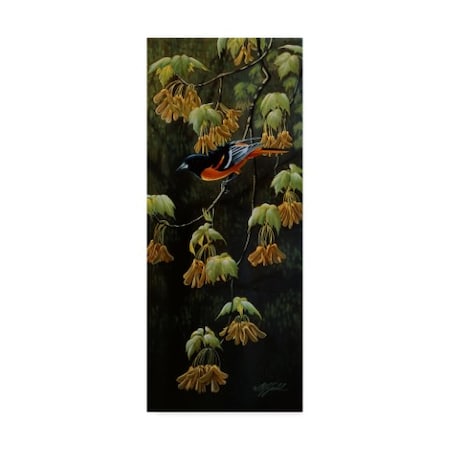 Wilhelm Goebel 'Forest Flame Baltimore Oriole' Canvas Art,8x19